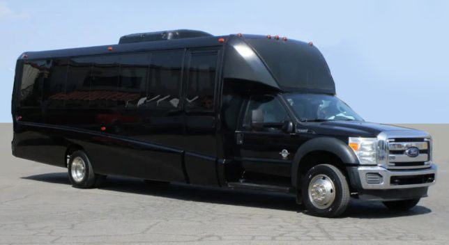 Different Limousine Options for Weddings: Mini Bus